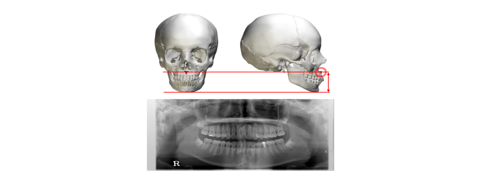 Dentistry